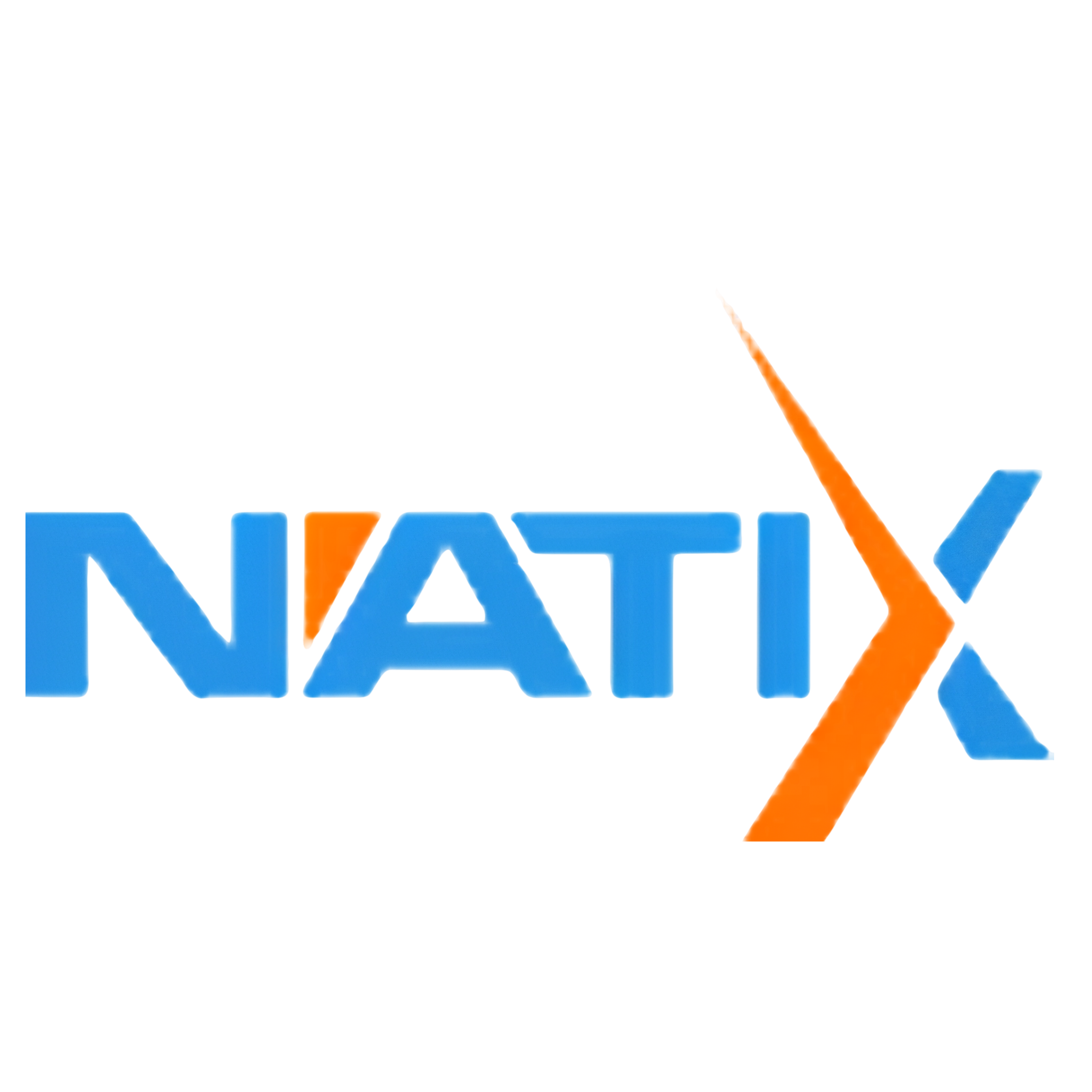 Natix Logo